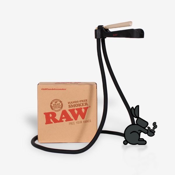 RS_RAW_HandsFree_01 RS_RAW_HandsFree_01